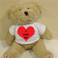 Personalised teddy bear Personalised teddy bear